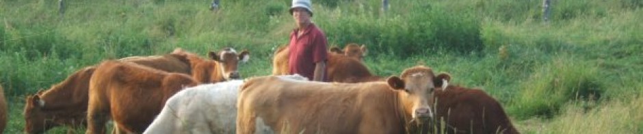 Kitley Beef Farm